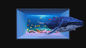 1R1G1B Indoor Advertising LED Display Screen P4.81 P3.91 LED 3D Display